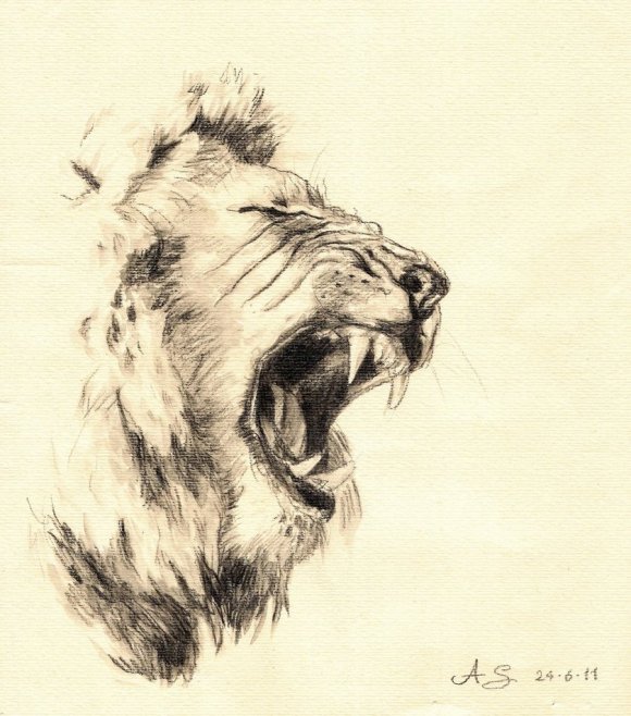 lion___watersoluble_pencil_by_diabolikske-d3kmxu3